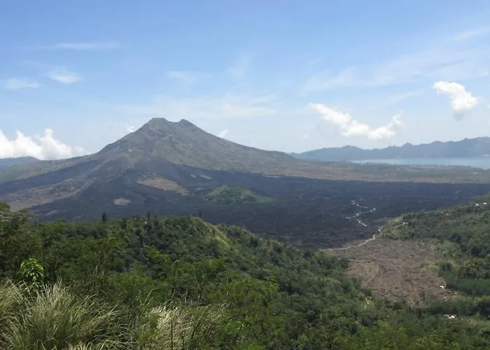 Damgan Julah
